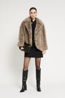 GSSTJ0059_1921 - GSSTJ0059_1921_07.jpg